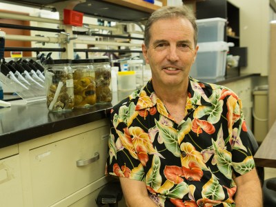VIDEO: The Creepy Collaboration That Creates Rat Lungworm