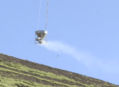 Ridding Lehua Island Of Rats Is A Potentially Dangerous Challenge