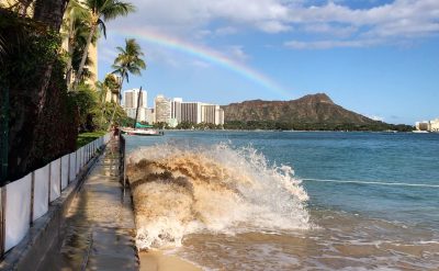 These Environmental Bills Have Survived The Legislative Process So Far