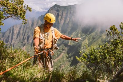 How Sen. Mazie Hirono Hopes To Save Hawaii’s Endangered Plants