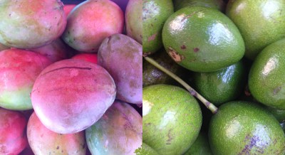 The Joys, And Fruits, Of Living Downtown