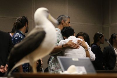 Man Gets 45 Days For Albatross Killings: ‘I’m Disgusted With My Behavior’
