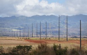 Hawaiian Electric power poles going thru Kunia Road Monsanto leased land.
