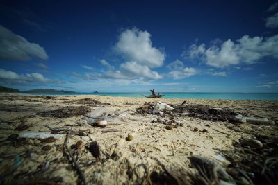 Ocean Plastic Pollution Prompts Lawsuit