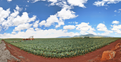 Settler Colonialism Still Defines Power In Hawaii
