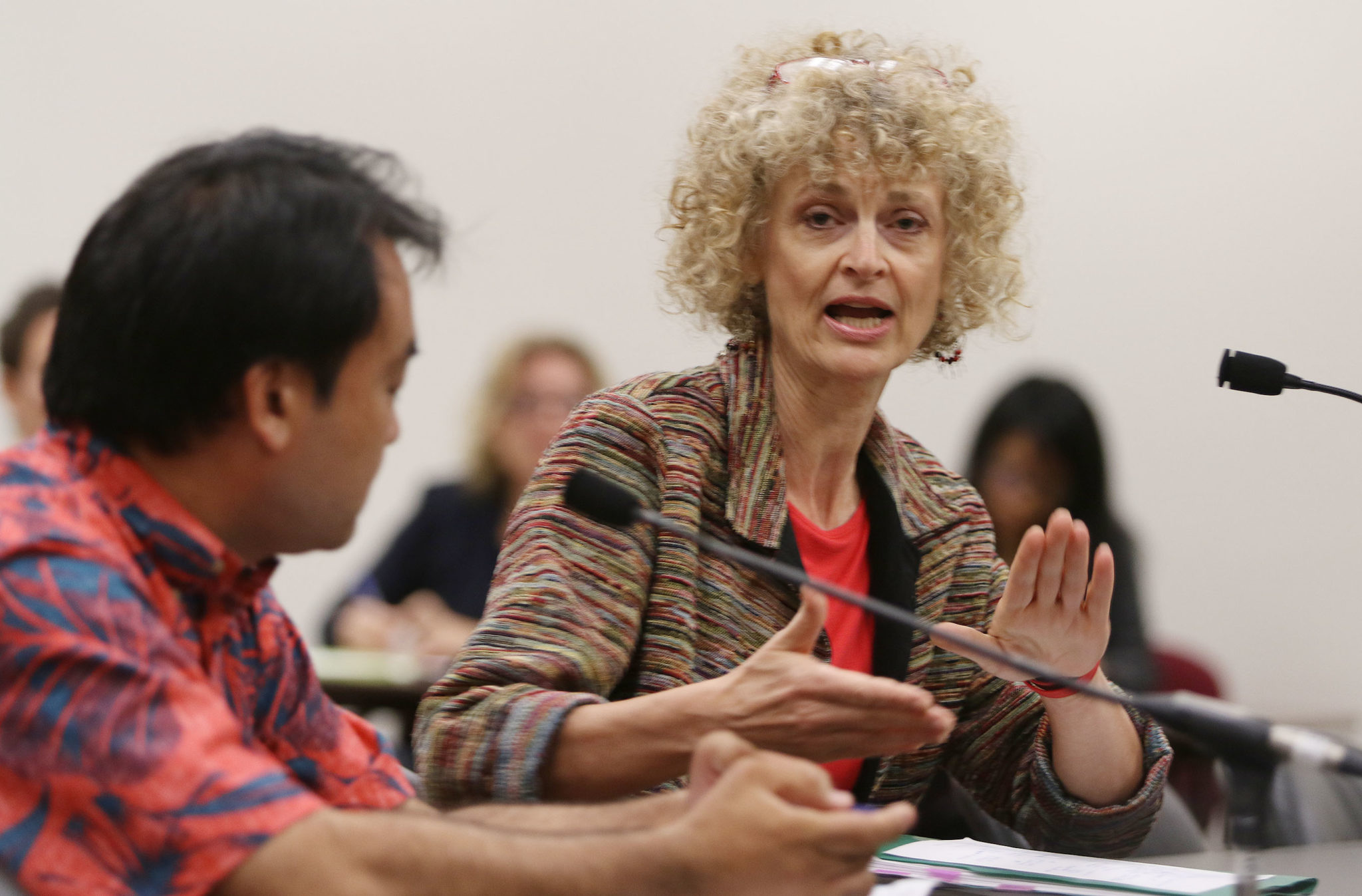 Hawaii Medicaid Director Dr Judy Mohr Peterson Briefing on Homeless Solutions.