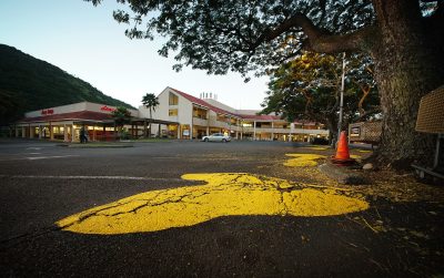 Denby Fawcett: Saving Manoa’s Monkeypods