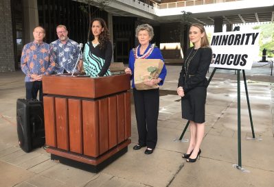 Republicans Want Lower Taxes And Better Public Access To Legislature