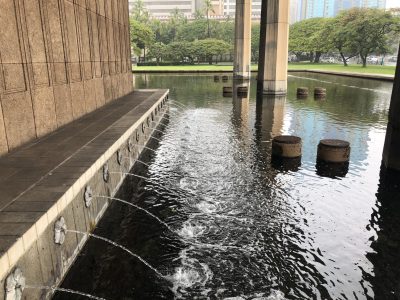Chad Blair: Draining The Swamp At Hawaii’s Capitol