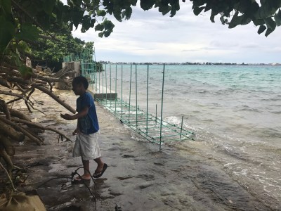 Crackdown On Illegal Marshallese Adoptions Comes After More Than A Decade Of Inaction