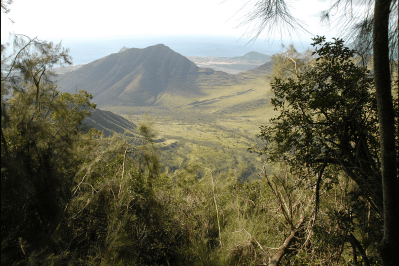Ewa Wind Farm Seeking Community Input