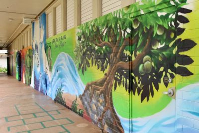 Reflections From A First-Year Teacher In Hawaii’s Public School System