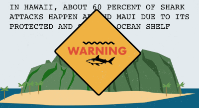 VIDEO: Hey It’s Shark Week — And Here’s The Shark’s View Of Things