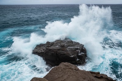 Let’s Harness The Power Of Our Oceans