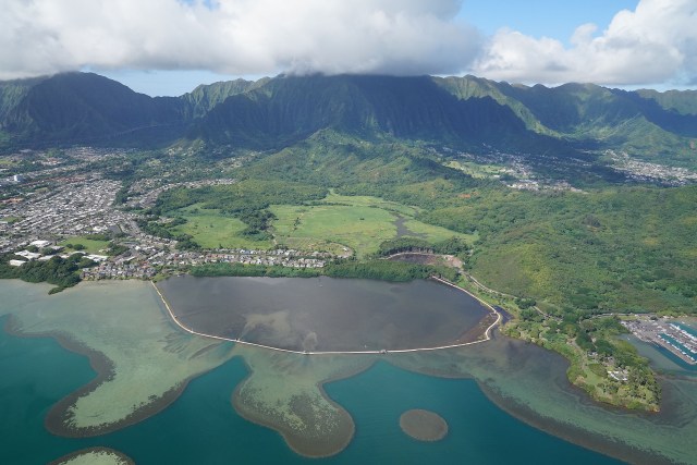 According to the Heeia fishpond site, "Located in He’eia Uli on the island of Oahu, He’eia Fishpond is a walled (kuapā) style fishpond enclosing 88 acres of brackish water. The kuapā is built on the Malauka`a fringing reef that extends from the shoreline surrounding the pond out into Kāne`ohe Bay. Built approximately 600-800 years ago by the residents of the area, the kuapā is possibly the longest in the island chain measuring about 1.3 miles (7,000 feet) long and forms a complete circle around the pond. This is unique as most other fishpond walls are either straight lines or half circles connecting one point of shoreline to another."