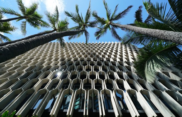 IBM Building facade coconut trees1.