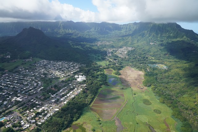 Kawainui Marsh Castle Hospital Olomana Aerial.