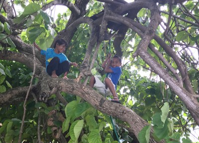 Texas Agency Forced To Shutter Marshallese Adoption Business