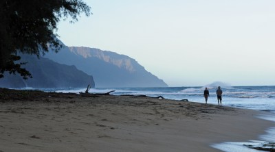 Kauai: On A Now Empty Beach, Signs Of Nature’s Comeback