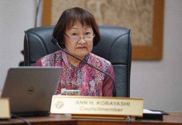 City Councilmember Ann Kobayashi during housing/homeless committee meeting.