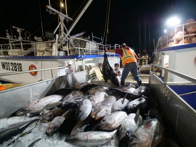 Hawaii Longliners Take Action To Fight Poor Conditions And Human Trafficking