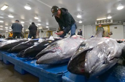 State Supreme Court: Hawaii Longline Industry’s Use Of Foreign Crews OK