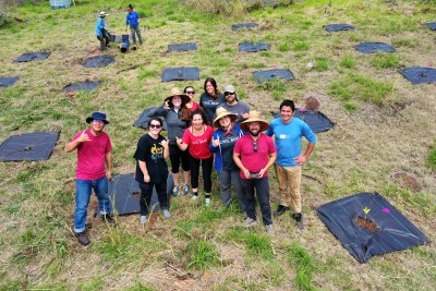 Follow Civil Beat’s Lead On Planting Trees