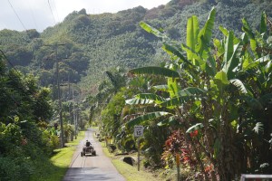 Wailua Road in Hana Maui water.