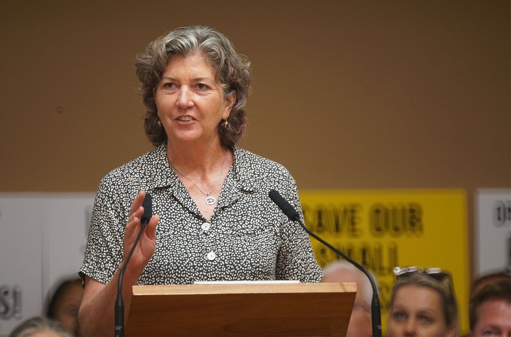 Senator Laura Thielen speaks in support of Bill 89 and 85.