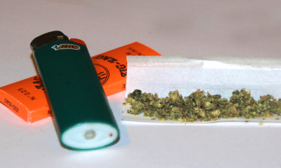 ‘Maui Wowee’: County Council Sees Potential Financial Boost From Pot Industry