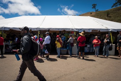 Office Of Hawaiian Affairs Has Spent $39K To Support Activists On Mauna Kea