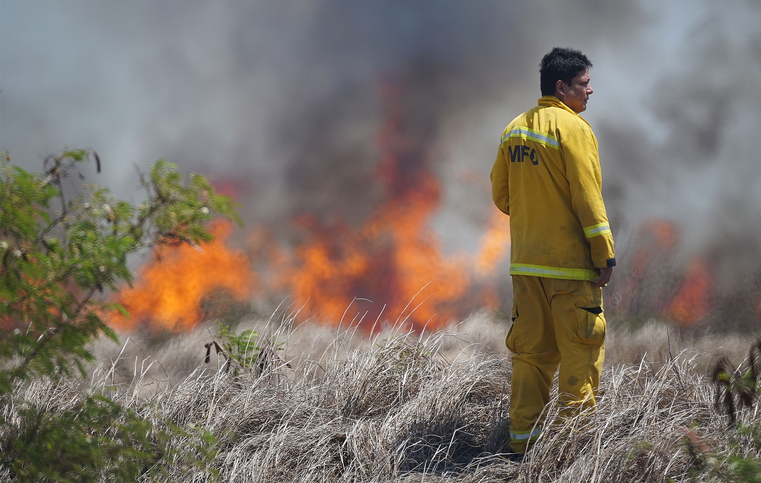 Maui firefighter watches fields near Pulehu Road with gusty tradewinds pushing fire towards Kihei.