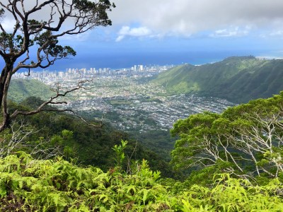 Ala Wai Flood Control Project Looms Large In District 5 Council Race