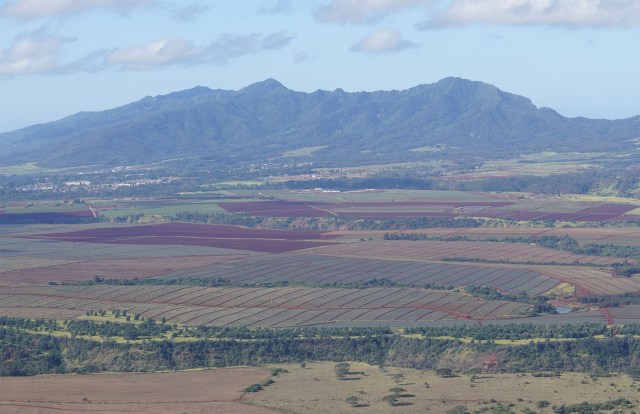 Wahiawa Agriculture with Waianae Mountains.