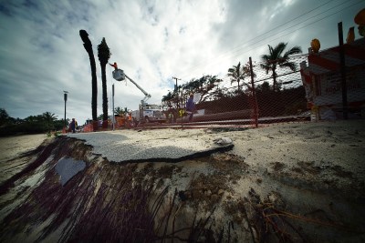 Workers take down large Palm trees at Sunset Beach with eroded bike path in foreground.