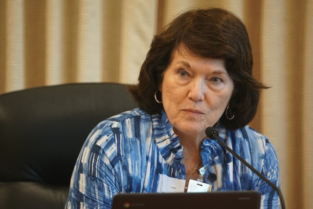 Department of Education Board Chair Catherine Payne speaks during meeting.