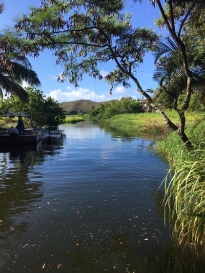 This wetland is adjacent to the controversial proposed housing development.