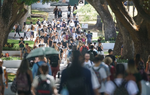 University of Hawaii at Manoa campus with students walking along the ‘mall’.