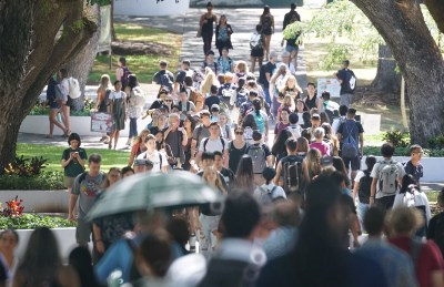 UH Enrollment Drops 3 Percent
