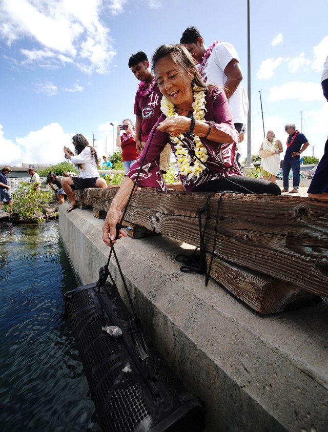 Farrington HS Teacher Diane Tom Ogata lowers cage containing baby oysters near the Marine Education Training Center located on Sand Island.