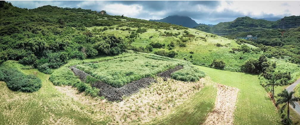 Paukini Heiau