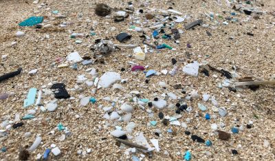 Lawsuit: Feds Failing To Protect Hawaii Waters From Plastics