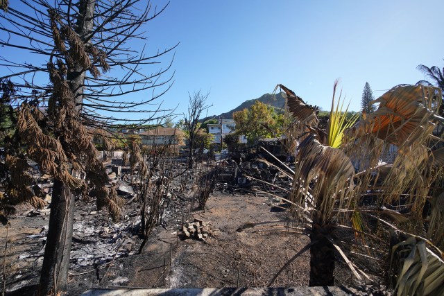 Hibiscus Drive fire damage looking towards Diamond Head.