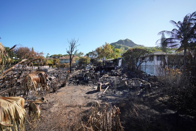 Hibiscus Drive fire damage looking towards Diamond Head.