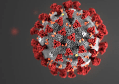 How Worried Should We Be About The Coronavirus?