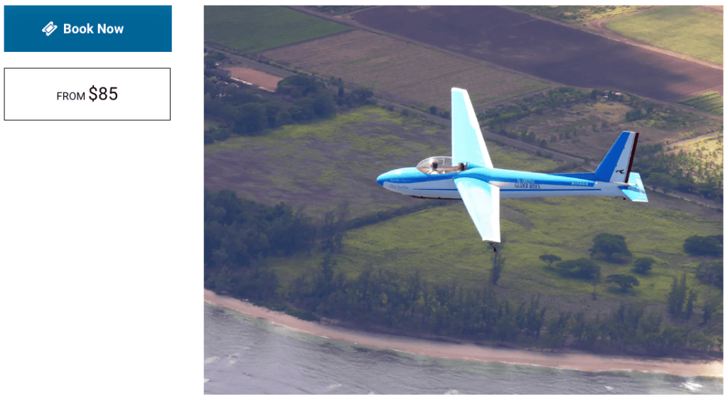 Glider Gliders