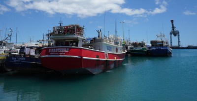 Fish Councils Look For Ways To Bounce Back From Pandemic