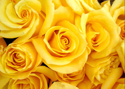 How Hawaii’s Hospitality Industries Can Save Mother’s Day
