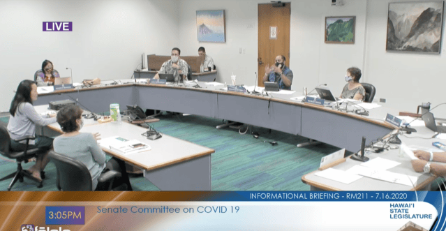 Kishimoto, Sarah Park, DOE, DOH, Senate Covid committee, Legislature