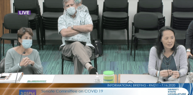 Kishimoto, Sarah Park, DOE, DOH, Senate Covid committee, Legislature